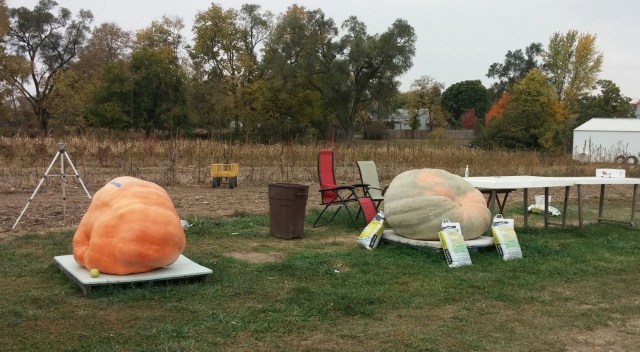 thumbnail_20151023_172532-1